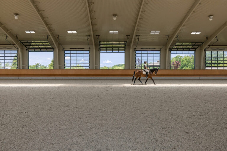 A person riding a horse in an architecture creation.