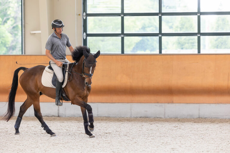 A person riding a horse. Air conditioning is the own right of the space owner. Planning ideas with an architect is helpful for development of structures and art materials.