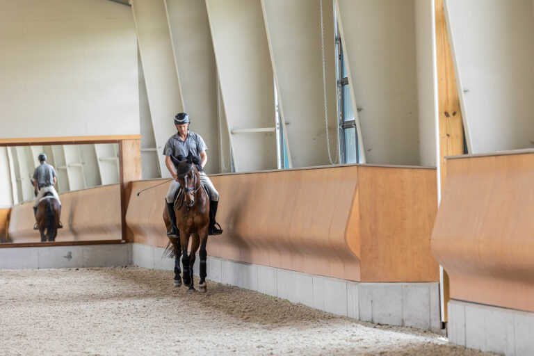 A person riding a horse. Latin architectus or a roman architect might have completed similar projects before. These can be used for inspiration when working on houses or other commercial spaces. The interiors of a site range in techniques and design.