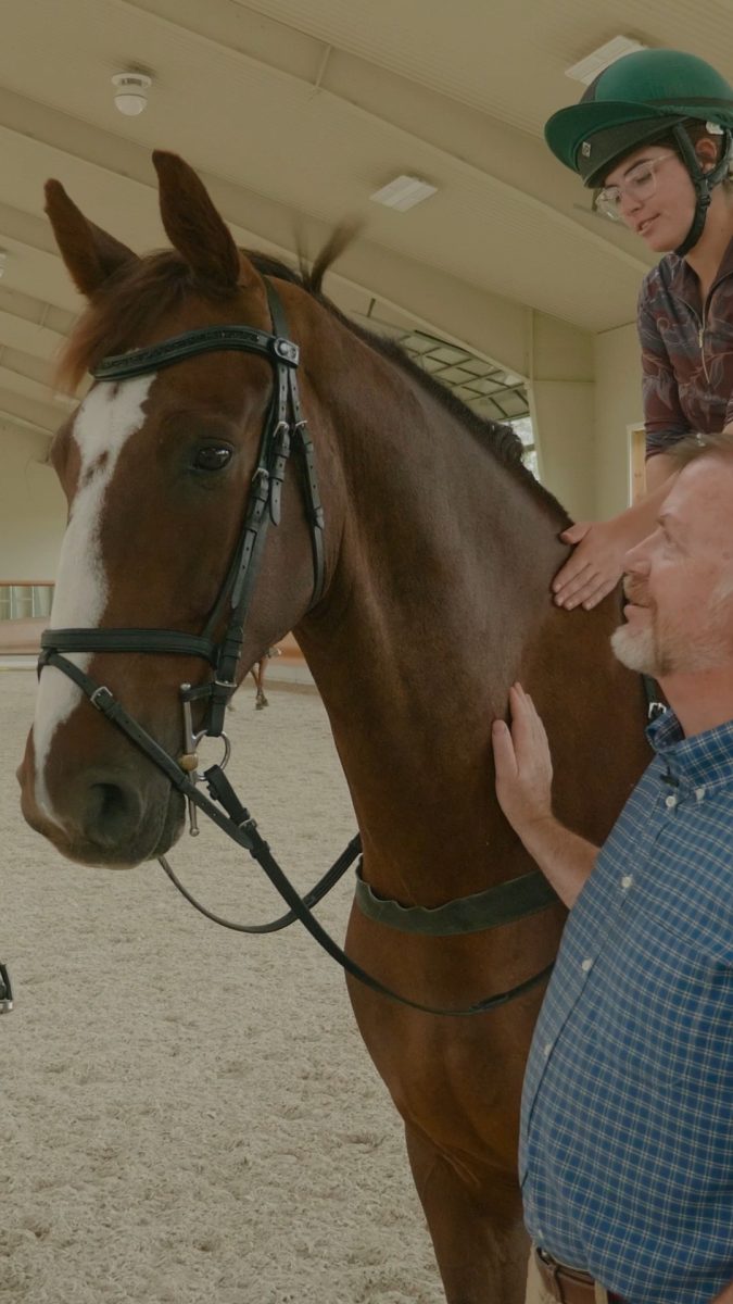 Not everyone knows what a specialized pursuit the design of equestrian facilities