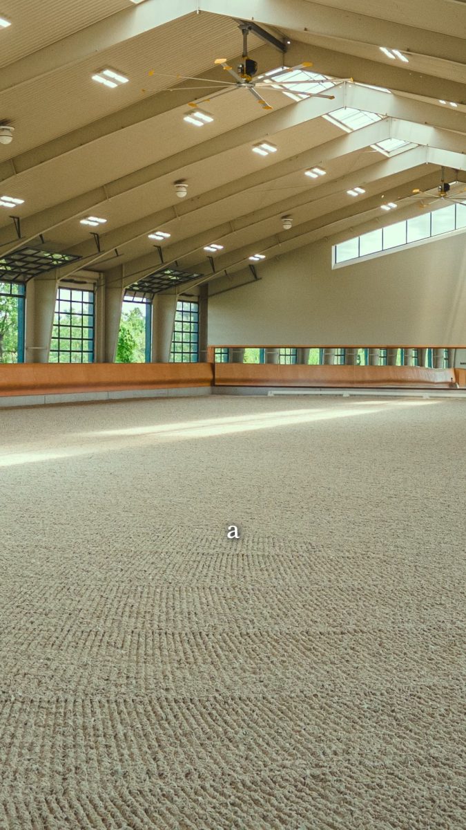 Firm partner Richard Buchanan gives a peek inside the state-of-the-art indoor arena